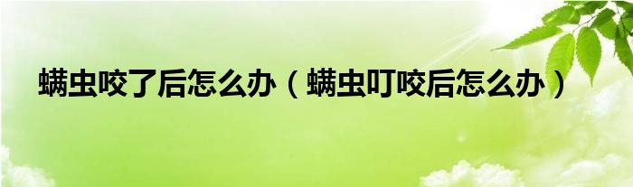 螨蟲(chóng)咬了后怎么辦（螨蟲(chóng)叮咬后怎么辦）