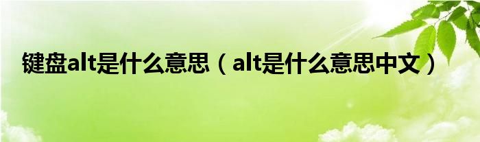 鍵盤alt是什么意思（alt是什么意思中文）