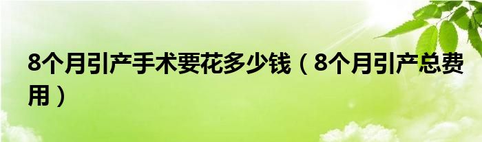 8個月引產(chǎn)手術(shù)要花多少錢（8個月引產(chǎn)總費(fèi)用）