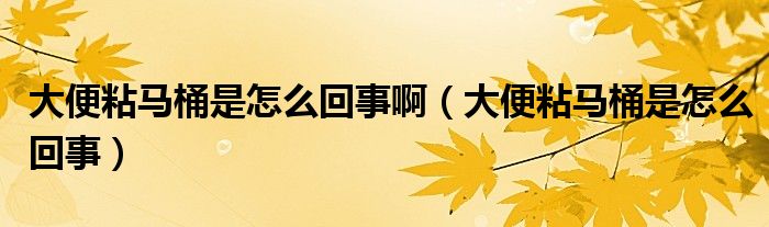 大便粘馬桶是怎么回事?。ù蟊阏绸R桶是怎么回事）