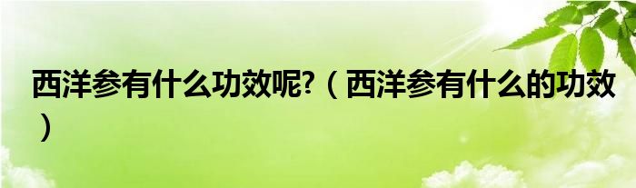 西洋參有什么功效呢?（西洋參有什么的功效）