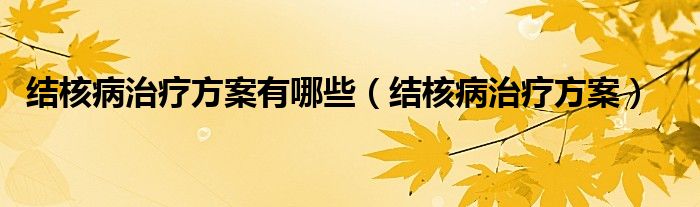 結(jié)核病治療方案有哪些（結(jié)核病治療方案）