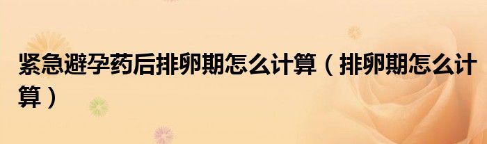 緊急避孕藥后排卵期怎么計算（排卵期怎么計算）