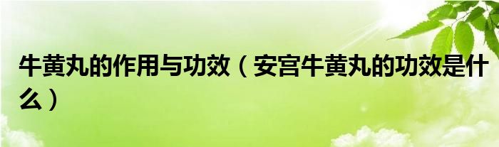 牛黃丸的作用與功效（安宮牛黃丸的功效是什么）