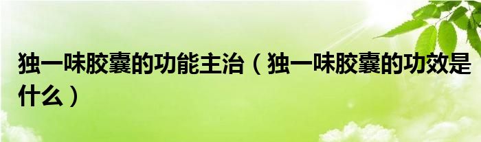 獨一味膠囊的功能主治（獨一味膠囊的功效是什么）