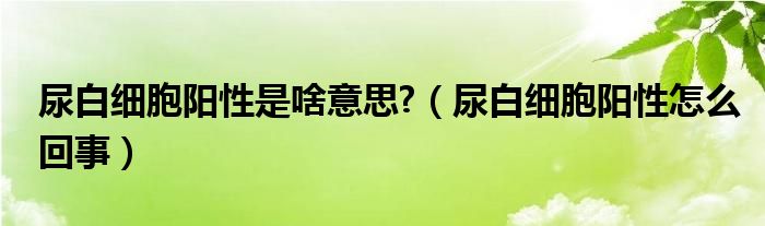 尿白細胞陽性是啥意思?（尿白細胞陽性怎么回事）