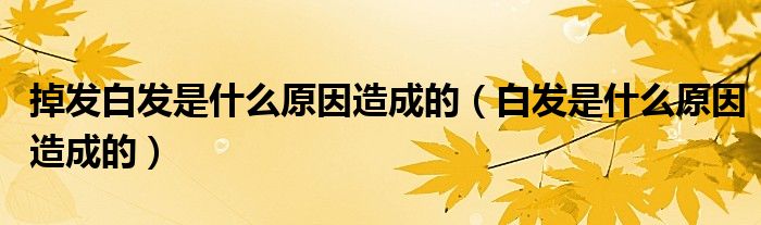 掉發(fā)白發(fā)是什么原因造成的（白發(fā)是什么原因造成的）