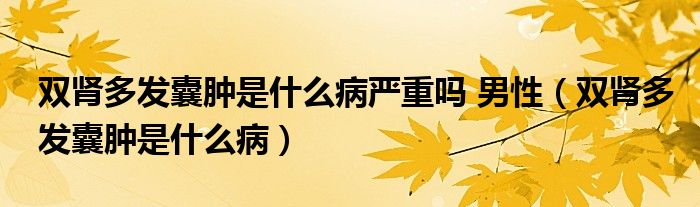 雙腎多發(fā)囊腫是什么病嚴重嗎 男性（雙腎多發(fā)囊腫是什么?。? /></span>
		<span id=