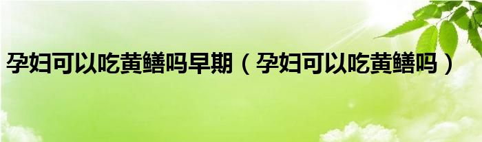 孕婦可以吃黃鱔嗎早期（孕婦可以吃黃鱔嗎）