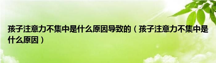 孩子注意力不集中是什么原因?qū)е碌模ê⒆幼⒁饬Σ患惺鞘裁丛颍?class='thumb lazy' /></a>
		    <header>
		<h2><a  href=