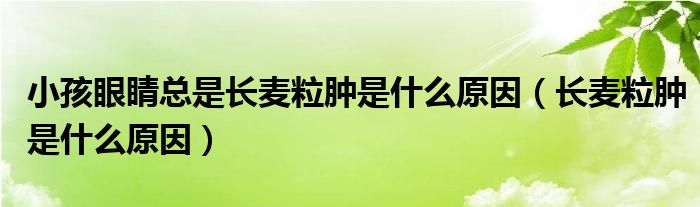 小孩眼睛總是長(zhǎng)麥粒腫是什么原因（長(zhǎng)麥粒腫是什么原因）