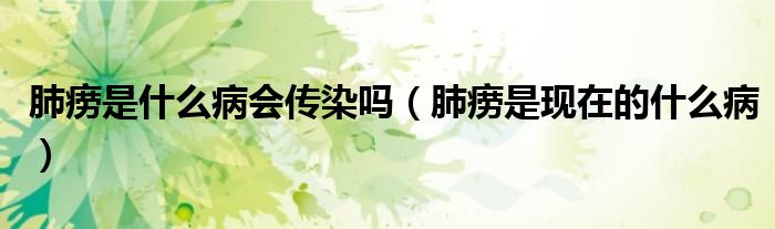 肺癆是什么病會傳染嗎（肺癆是現(xiàn)在的什么?。?class='thumb lazy' /></a>
		    <header>
		<h2><a  href=