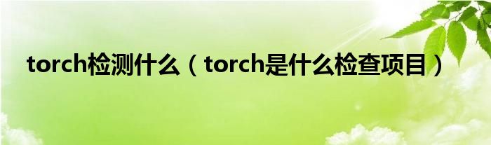 torch檢測什么（torch是什么檢查項(xiàng)目）