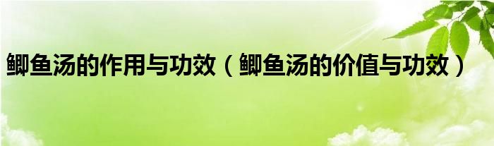 鯽魚湯的作用與功效（鯽魚湯的價值與功效）