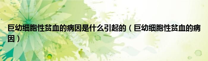 巨幼細(xì)胞性貧血的病因是什么引起的（巨幼細(xì)胞性貧血的病因）