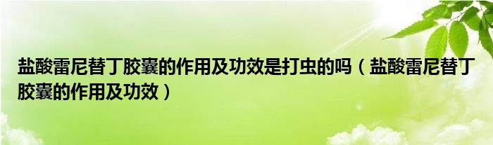 鹽酸雷尼替丁膠囊的作用及功效是打蟲的嗎（鹽酸雷尼替丁膠囊的作用及功效）