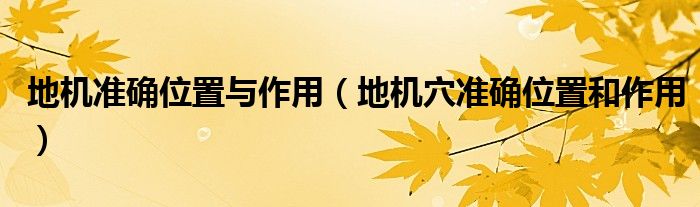 地機準(zhǔn)確位置與作用（地機穴準(zhǔn)確位置和作用）