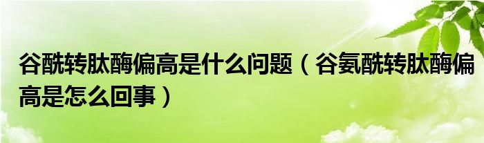 谷酰轉(zhuǎn)肽酶偏高是什么問題（谷氨酰轉(zhuǎn)肽酶偏高是怎么回事）