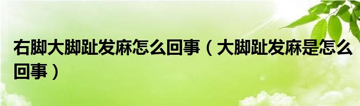 右腳大腳趾發(fā)麻怎么回事（大腳趾發(fā)麻是怎么回事）