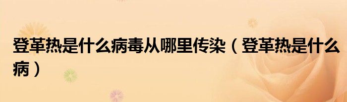 登革熱是什么病毒從哪里傳染（登革熱是什么?。? /></span>
		<span id=