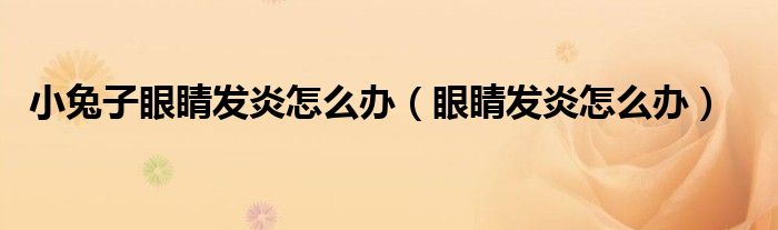 小兔子眼睛發(fā)炎怎么辦（眼睛發(fā)炎怎么辦）