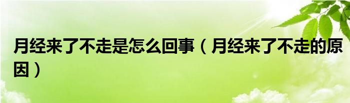 月經(jīng)來了不走是怎么回事（月經(jīng)來了不走的原因）