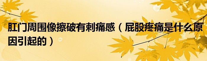 肛門(mén)周?chē)癫疗朴写掏锤校ㄆü商弁词鞘裁丛蛞鸬模?class='thumb lazy' /></a>
		    <header>
		<h2><a  href=