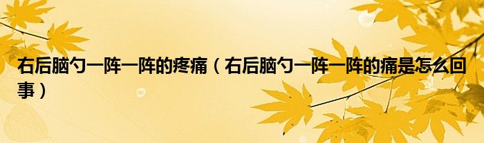 右后腦勺一陣一陣的疼痛（右后腦勺一陣一陣的痛是怎么回事）