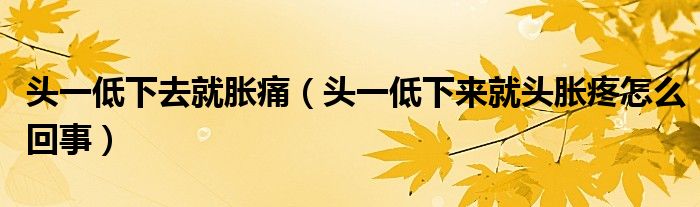 頭一低下去就脹痛（頭一低下來(lái)就頭脹疼怎么回事）