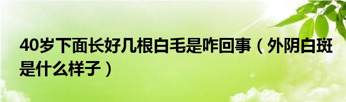 40歲下面長好幾根白毛是咋回事（外陰白斑是什么樣子）