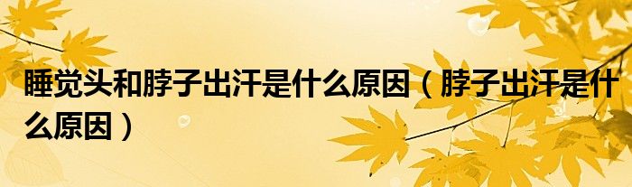 睡覺(jué)頭和脖子出汗是什么原因（脖子出汗是什么原因）