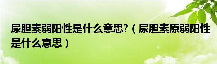 尿膽素弱陽性是什么意思?（尿膽素原弱陽性是什么意思）