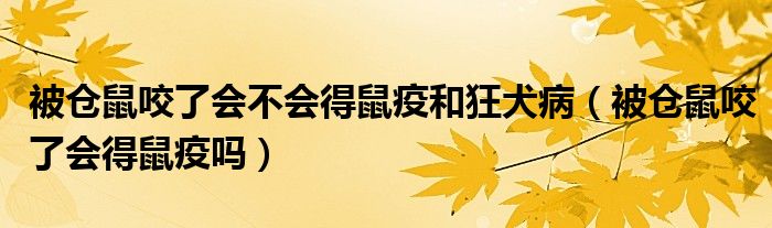 被倉鼠咬了會不會得鼠疫和狂犬?。ū粋}鼠咬了會得鼠疫嗎）