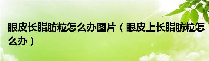 眼皮長脂肪粒怎么辦圖片（眼皮上長脂肪粒怎么辦）