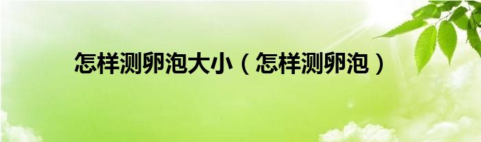 怎樣測(cè)卵泡大?。ㄔ鯓訙y(cè)卵泡）