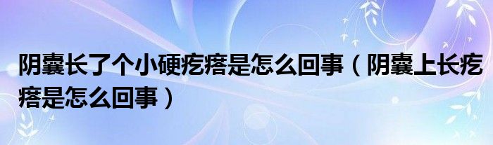 陰囊長(zhǎng)了個(gè)小硬疙瘩是怎么回事（陰囊上長(zhǎng)疙瘩是怎么回事）