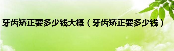 牙齒矯正要多少錢大概（牙齒矯正要多少錢）