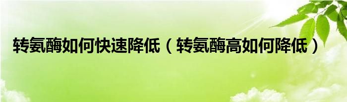 轉(zhuǎn)氨酶如何快速降低（轉(zhuǎn)氨酶高如何降低）