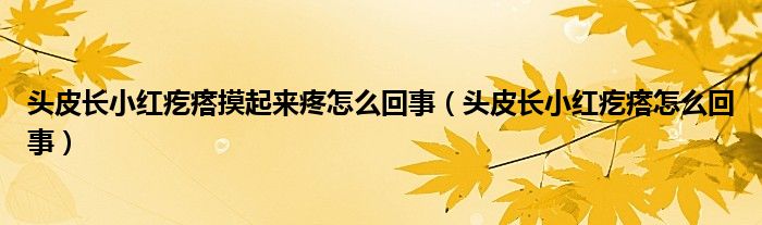 頭皮長(zhǎng)小紅疙瘩摸起來(lái)疼怎么回事（頭皮長(zhǎng)小紅疙瘩怎么回事）