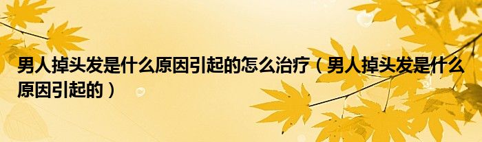 男人掉頭發(fā)是什么原因引起的怎么治療（男人掉頭發(fā)是什么原因引起的）