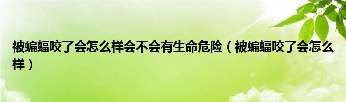 被蝙蝠咬了會怎么樣會不會有生命危險（被蝙蝠咬了會怎么樣）