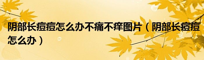 陰部長痘痘怎么辦不痛不癢圖片（陰部長痘痘怎么辦）