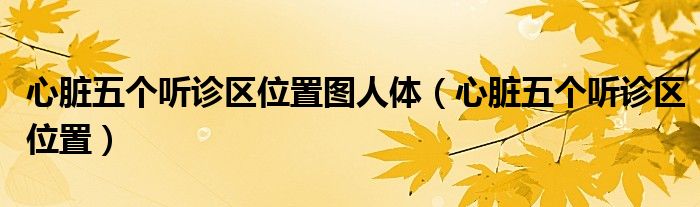 心臟五個(gè)聽診區(qū)位置圖人體（心臟五個(gè)聽診區(qū)位置）