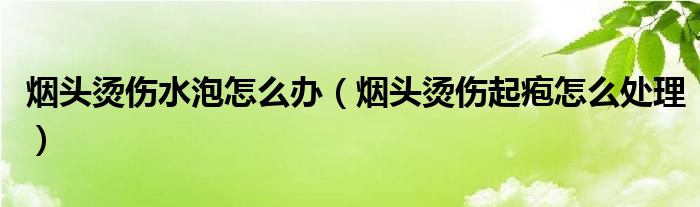 煙頭燙傷水泡怎么辦（煙頭燙傷起皰怎么處理）