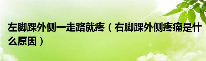 左腳踝外側(cè)一走路就疼（右腳踝外側(cè)疼痛是什么原因）