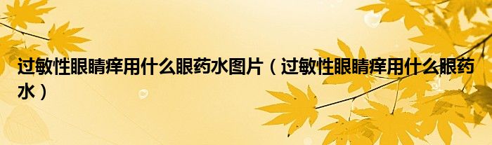 過敏性眼睛癢用什么眼藥水圖片（過敏性眼睛癢用什么眼藥水）