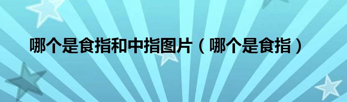 哪個(gè)是食指和中指圖片（哪個(gè)是食指）