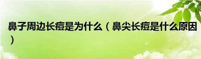 鼻子周邊長痘是為什么（鼻尖長痘是什么原因）