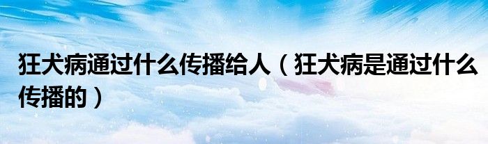 狂犬病通過什么傳播給人（狂犬病是通過什么傳播的）