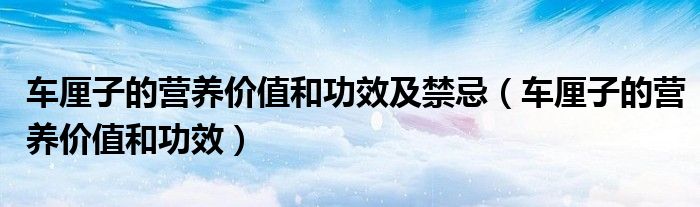 車(chē)?yán)遄拥臓I(yíng)養(yǎng)價(jià)值和功效及禁忌（車(chē)?yán)遄拥臓I(yíng)養(yǎng)價(jià)值和功效）